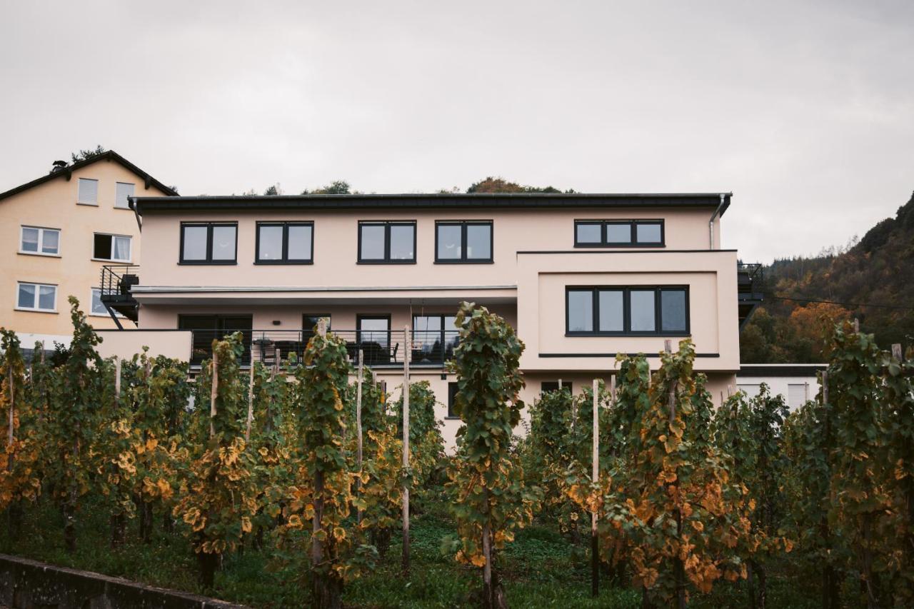 Апартаменты Weingut Meurer Рейл Экстерьер фото